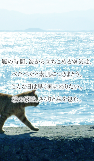 風の時間、海から立ちこめる空気は、べたべたと素肌につきまとう。こんな日は早く家に帰りたい。私の家は、さらりと私を包む。