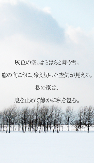 灰色の空、はらはらと舞う雪。窓の向こうに、冷え切った空気が見える。私の家は、息を止めて静かに私を包む。